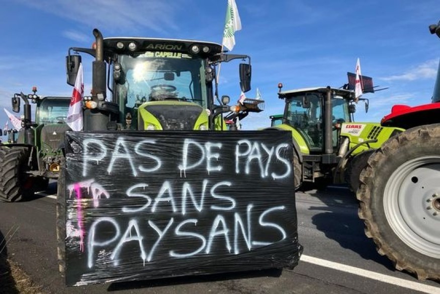 Interview avec MARION (Agricultrice)